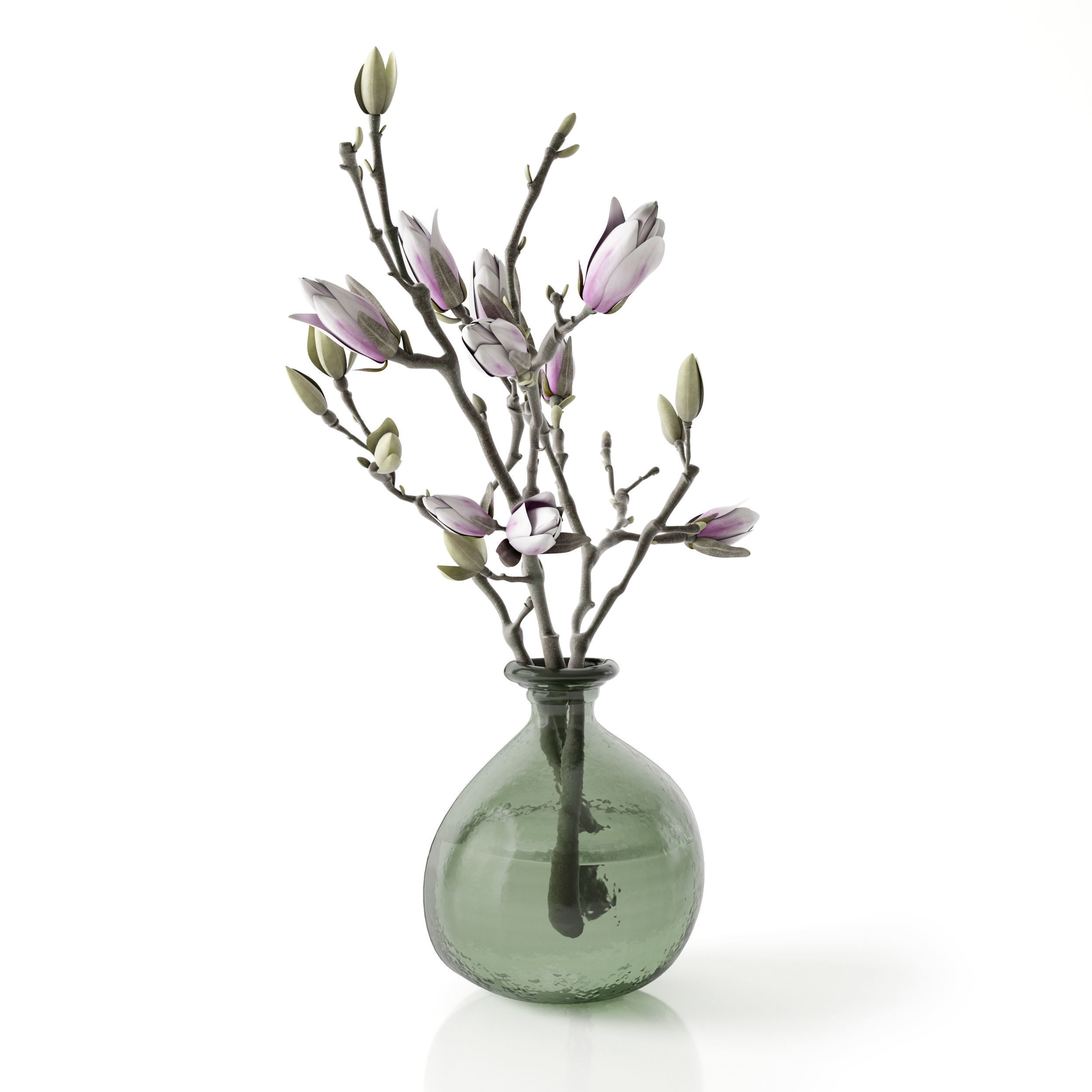 Magnolia in vase 3D model_13