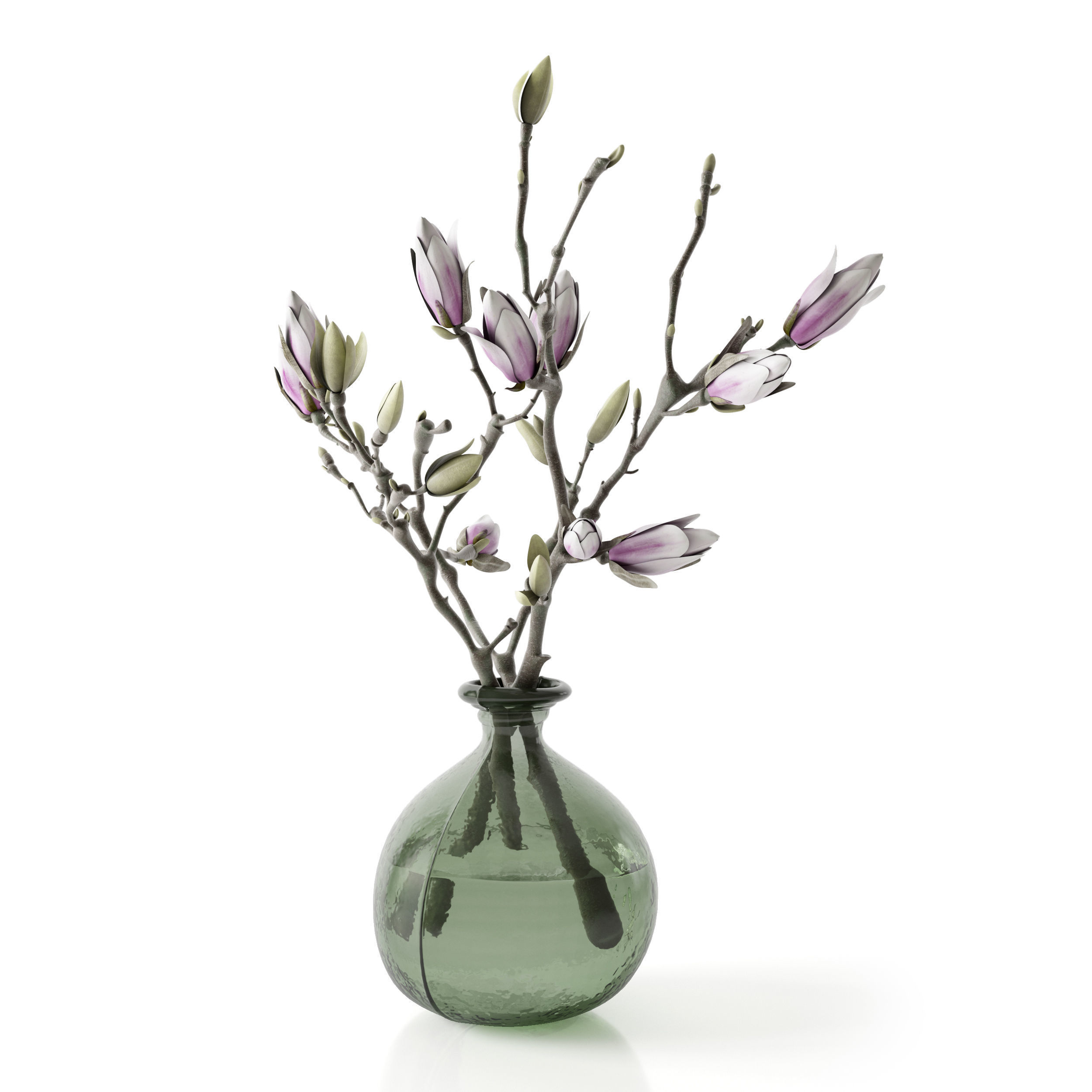 Magnolia in vase 3D model_17