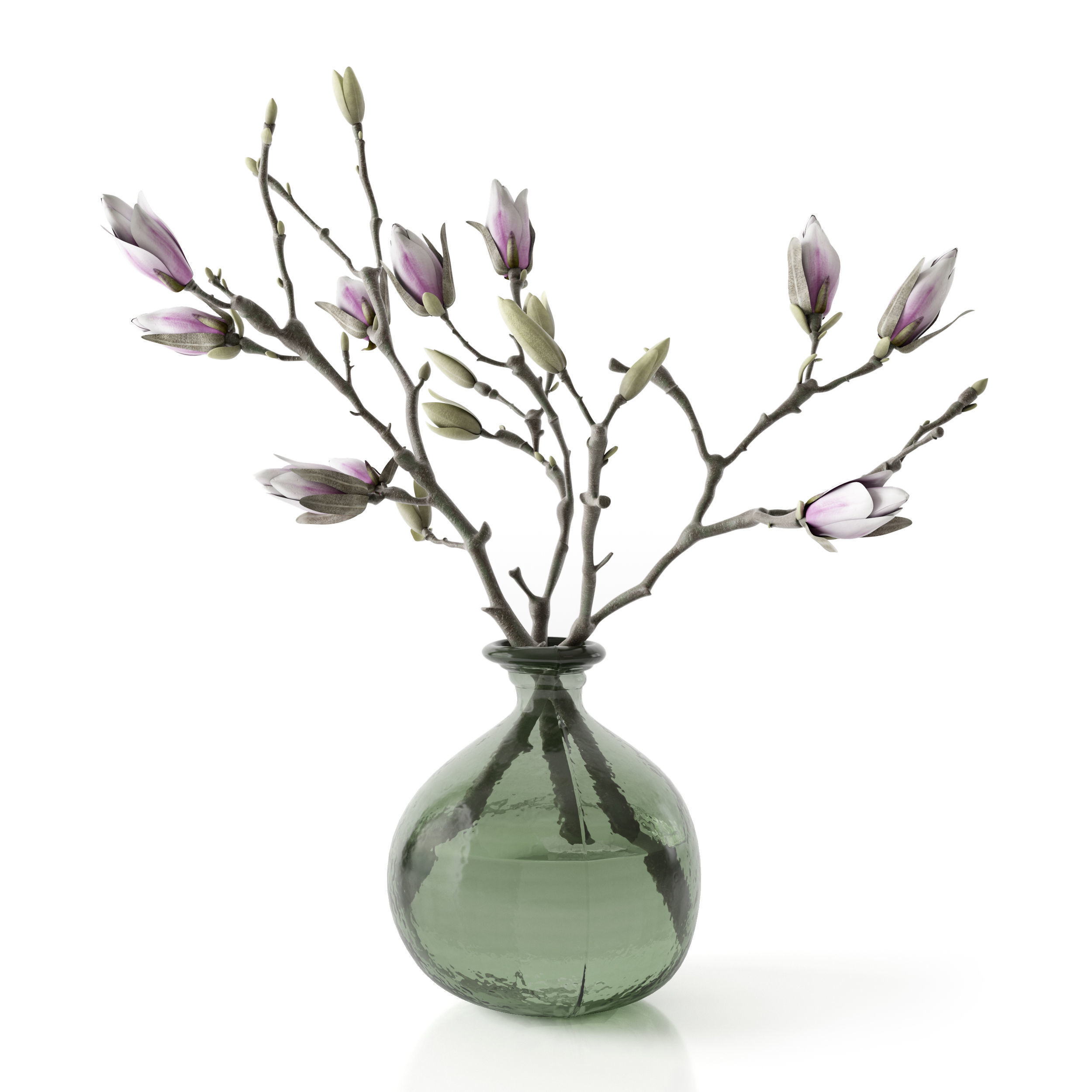 Magnolia in vase 3D model_5