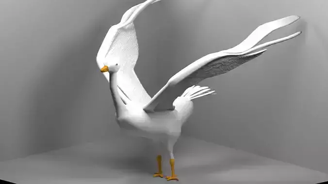 bird goose