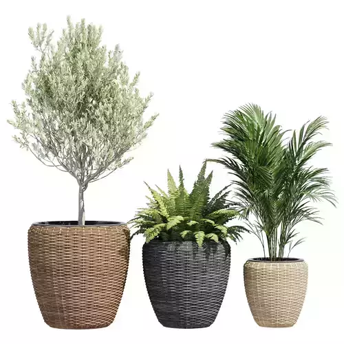 Powder three wicker planters