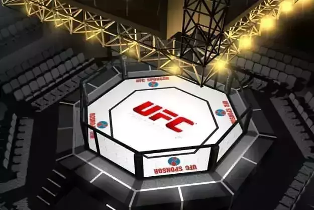 UFC Style Octagon Fighting Arena 3D model