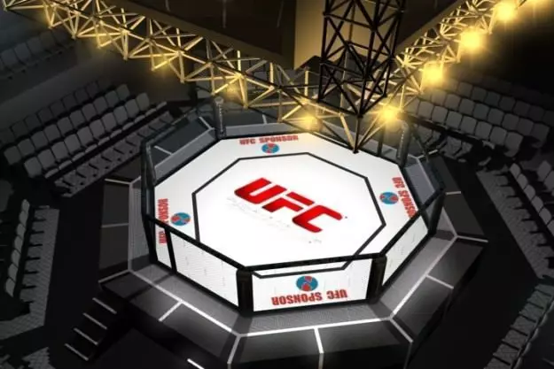 UFC Style Octagon Fighting Arena 3D model_0