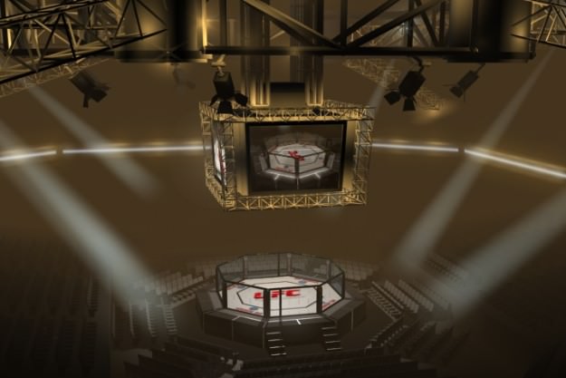 UFC Style Octagon Fighting Arena 3D model_5