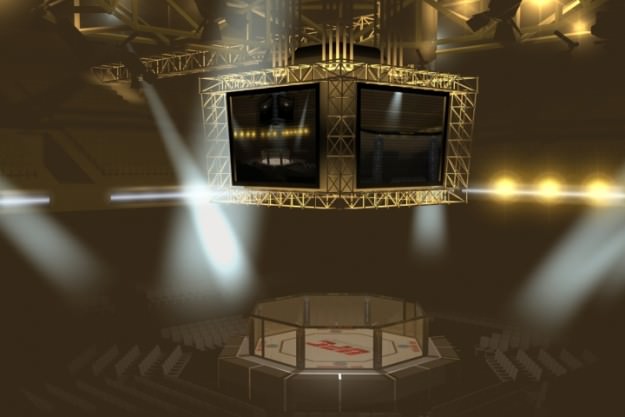 UFC Style Octagon Fighting Arena 3D model_7