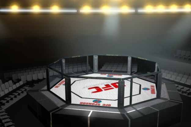 UFC Style Octagon Fighting Arena 3D model_4