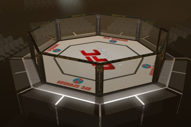 UFC Style Octagon Fighting Arena 3D model_3
