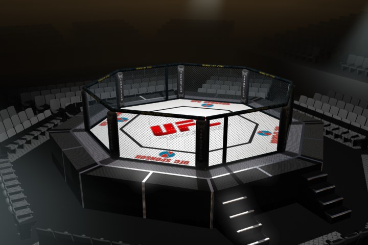 UFC Style Octagon Fighting Arena 3D Model .max - CGTrader.com