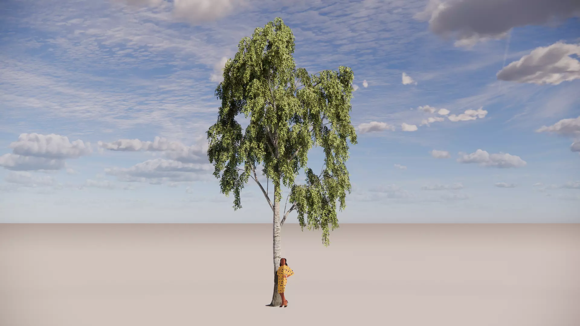 Abedul verrugoso - Betula pendula 3D model_0