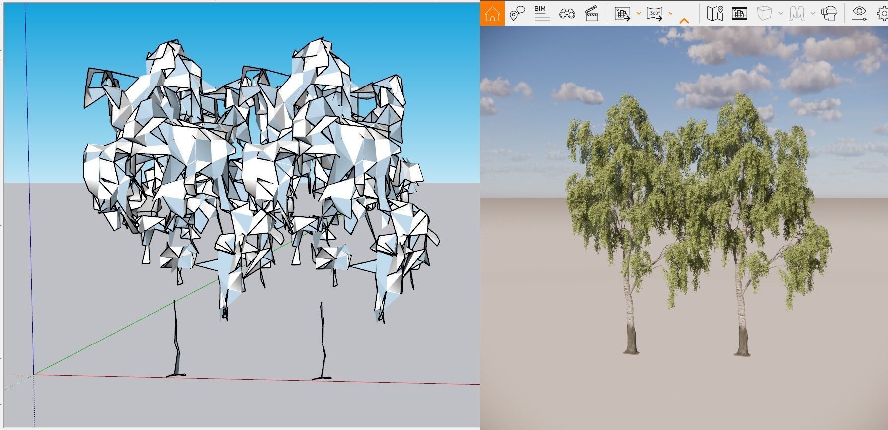 Abedul verrugoso - Betula pendula 3D model_2