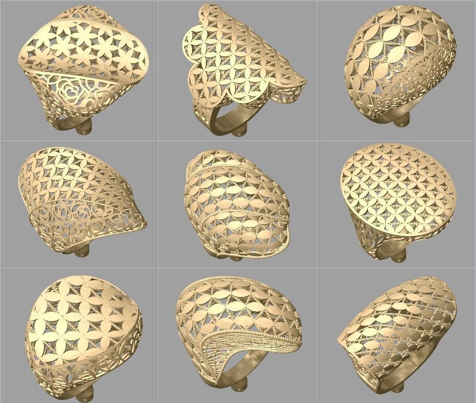 Fizyon Rings 47 - 100x Models 3D print model_2