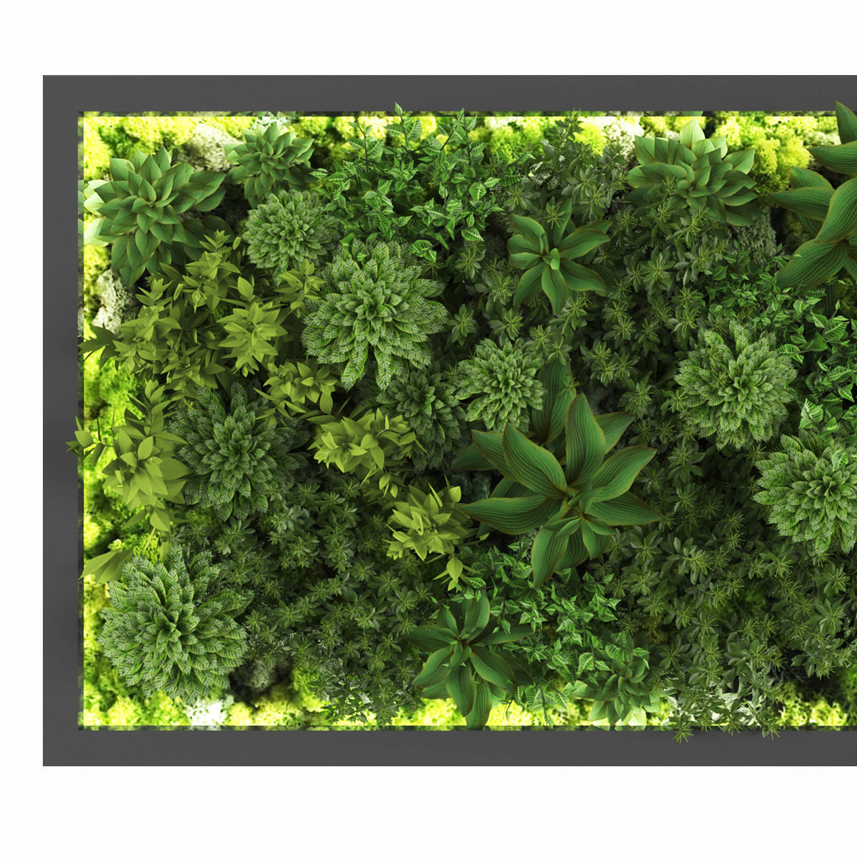 Vertical garden 153 Low-poly 3D model_1