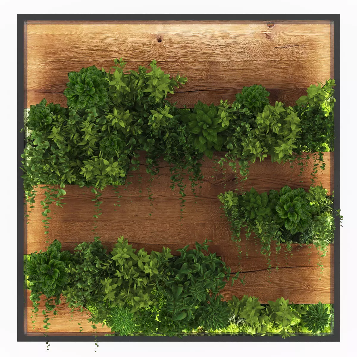 Vertical garden154 Low-poly 3D model_0