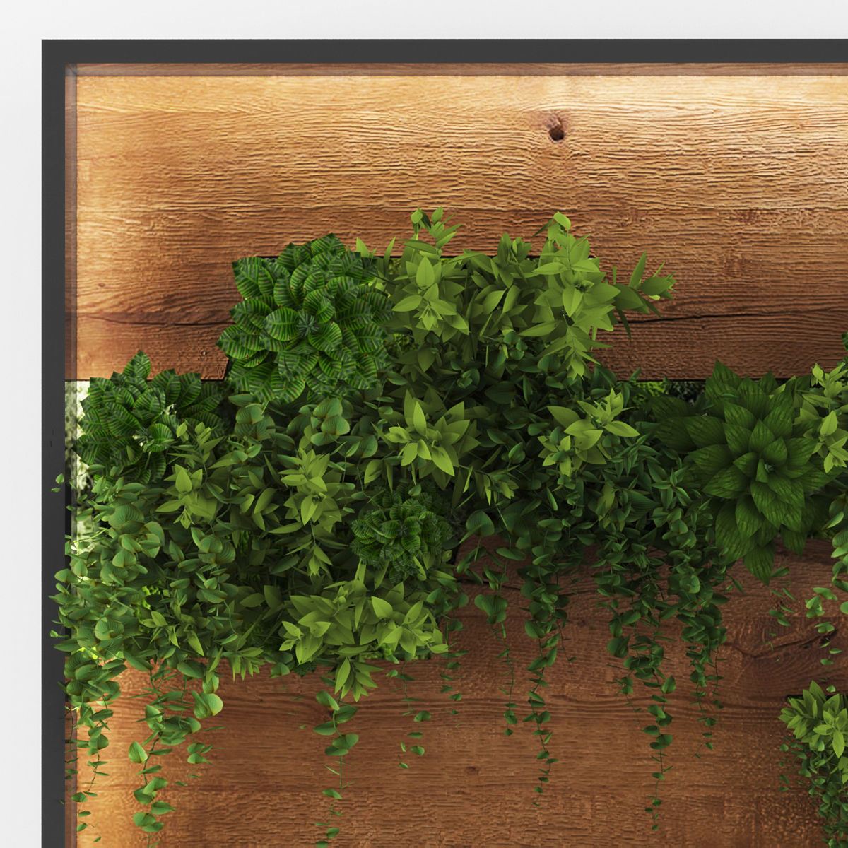 Vertical garden154 Low-poly 3D model_2