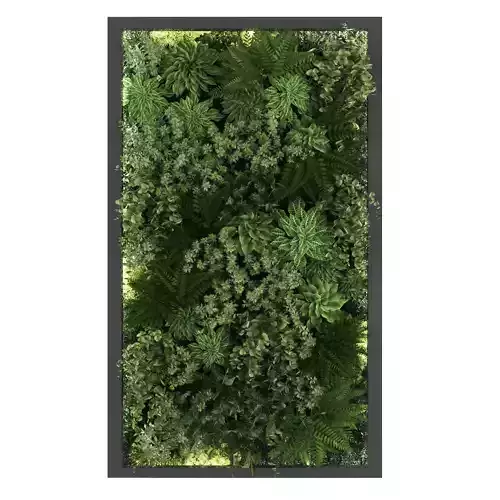 Vertical garden 156