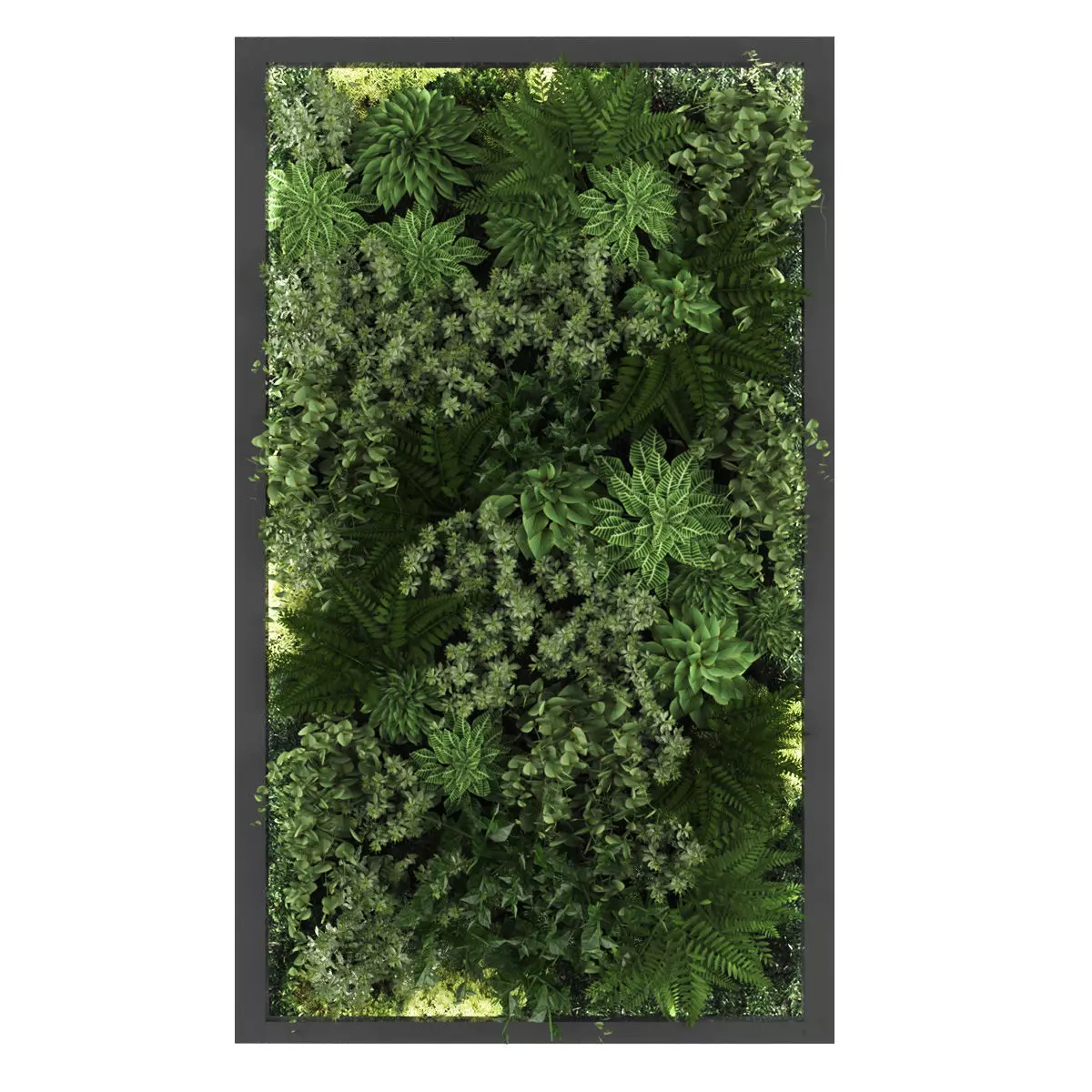 Vertical garden 156 Low-poly 3D model_0