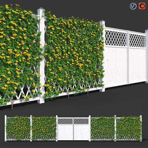 Fence - Mandevilla Sanderi with yellow flowers 3D model