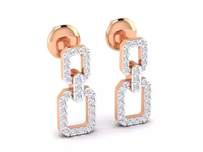 Women Earrings - 3-ER
