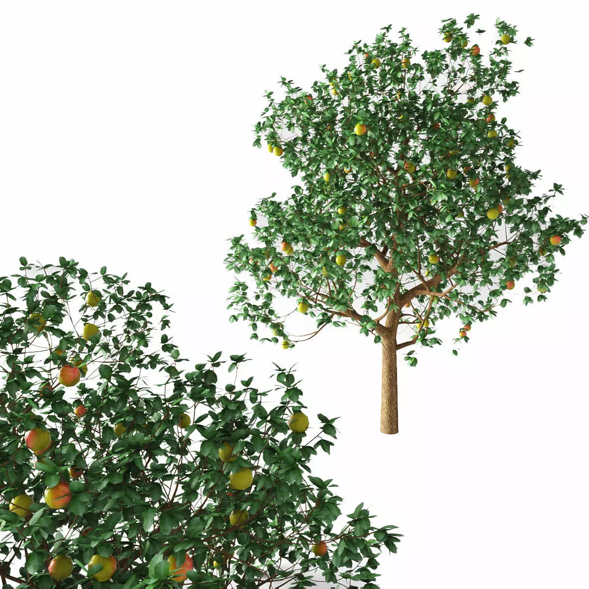 Apple tree Low-poly 3D model