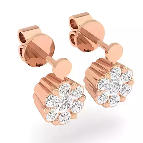 Women Earrings - 102054 3D print model