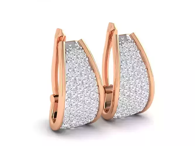 Women Earrings - 1 3D print model