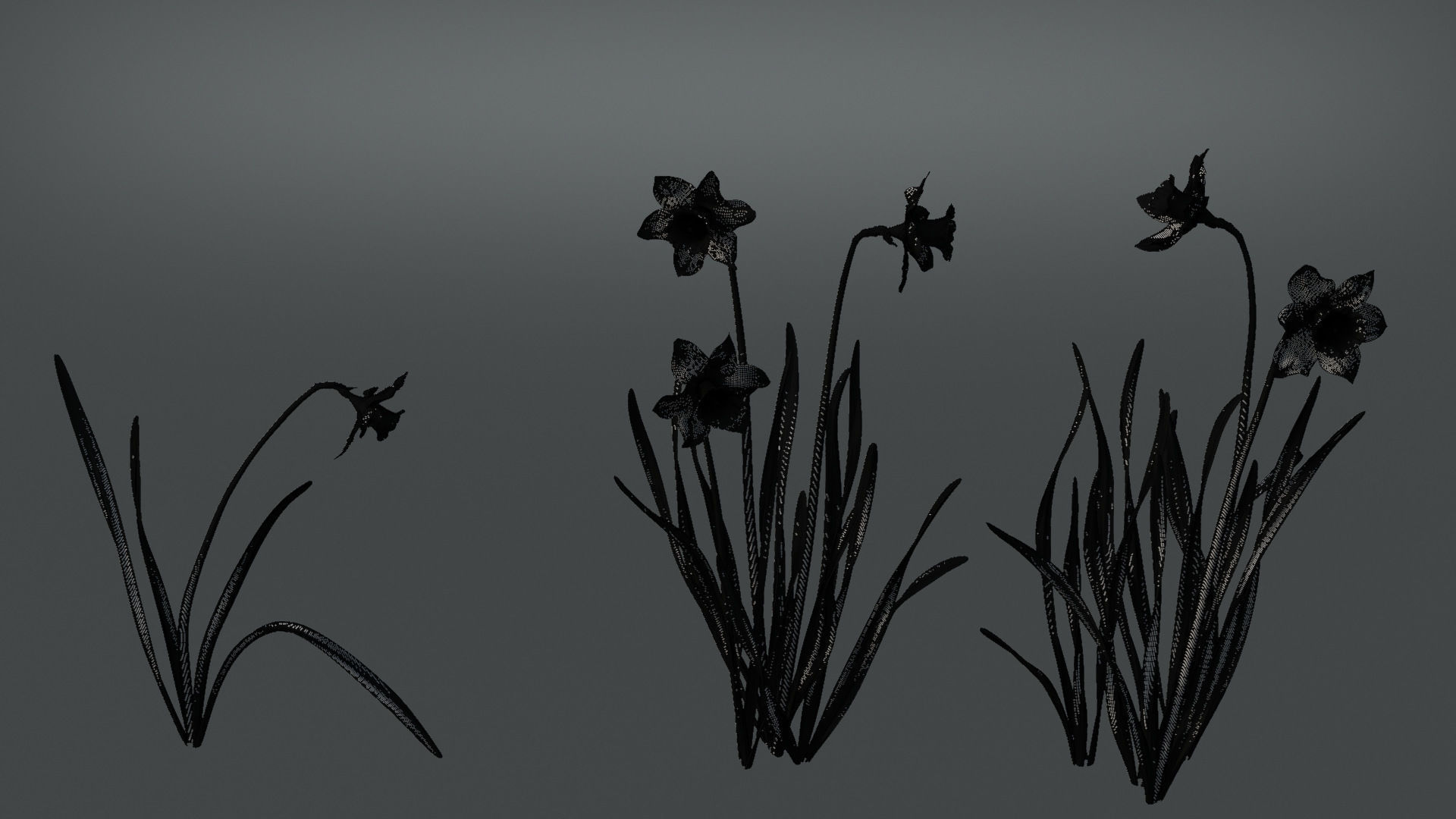 Daffodil Flower Kit  VFX Grace 3D model_9