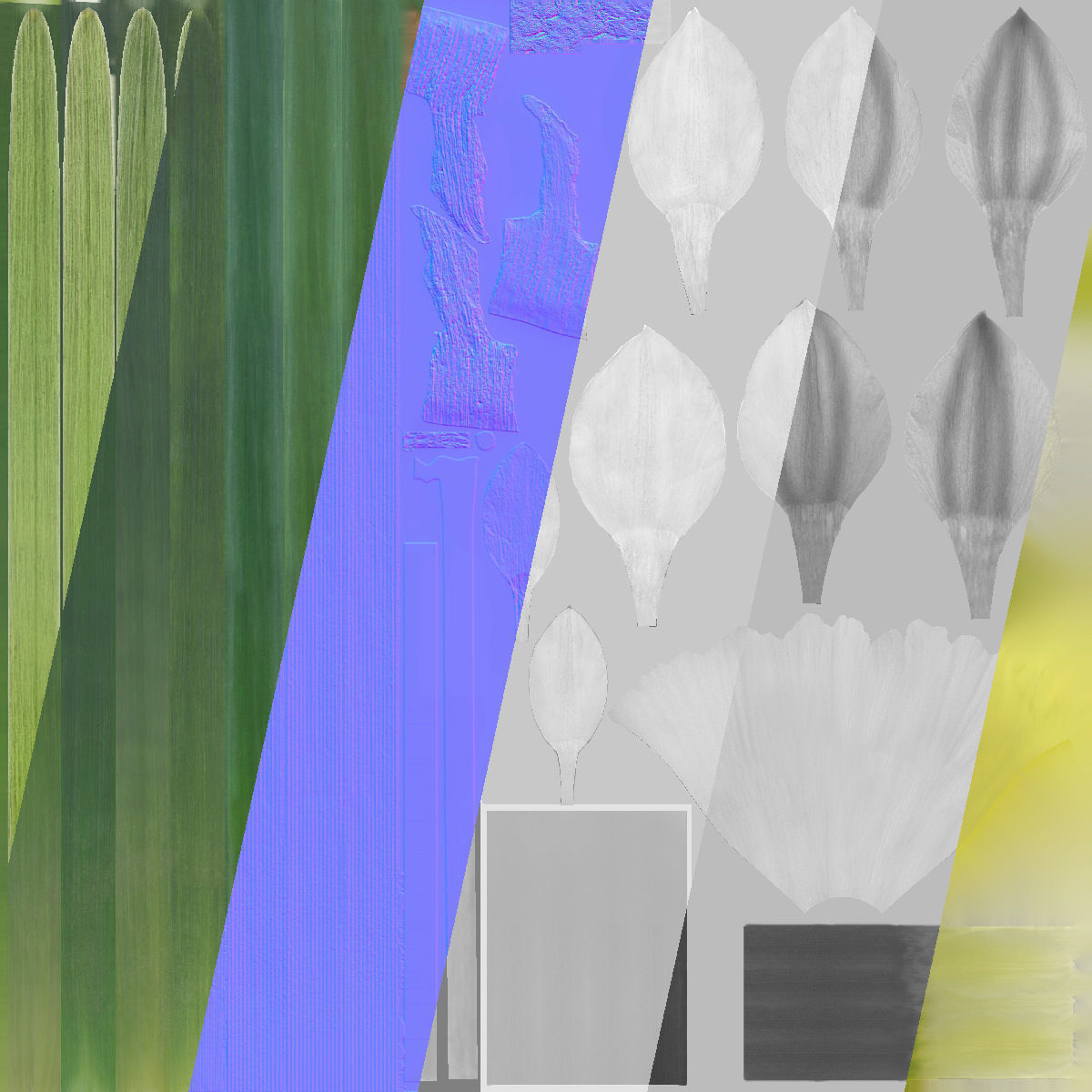 Daffodil Flower Kit  VFX Grace 3D model_16