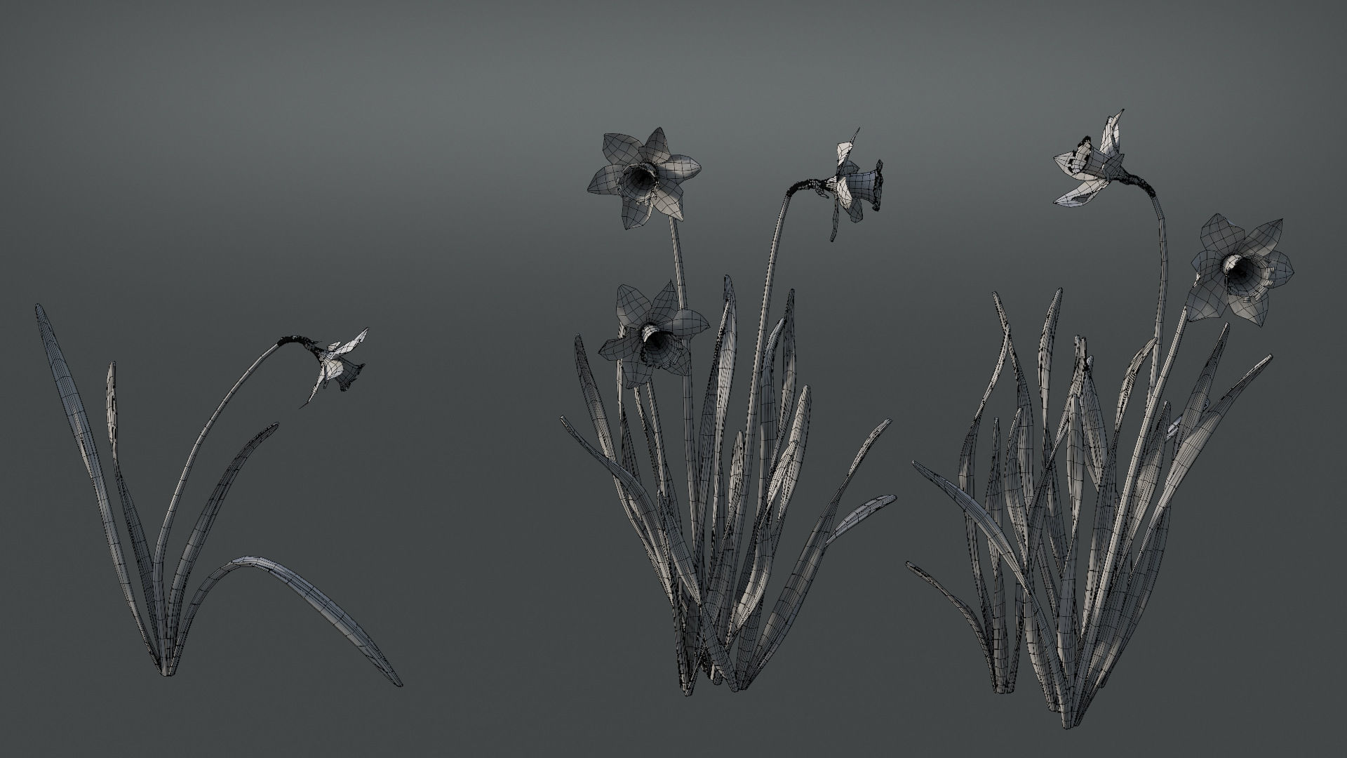 Daffodil Flower Kit  VFX Grace 3D model_11