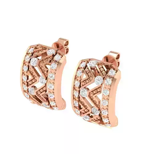 Women Earrings - 140117
