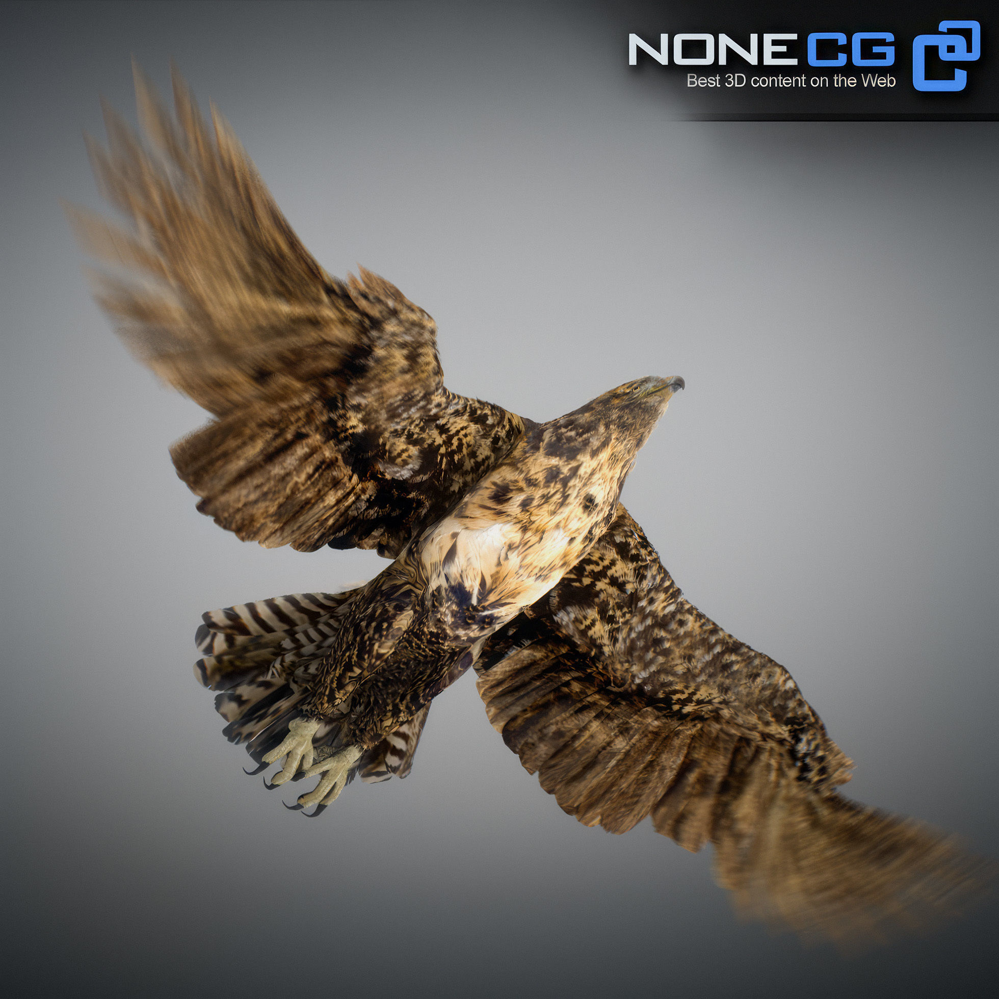 Animated Hawk 3D model_26