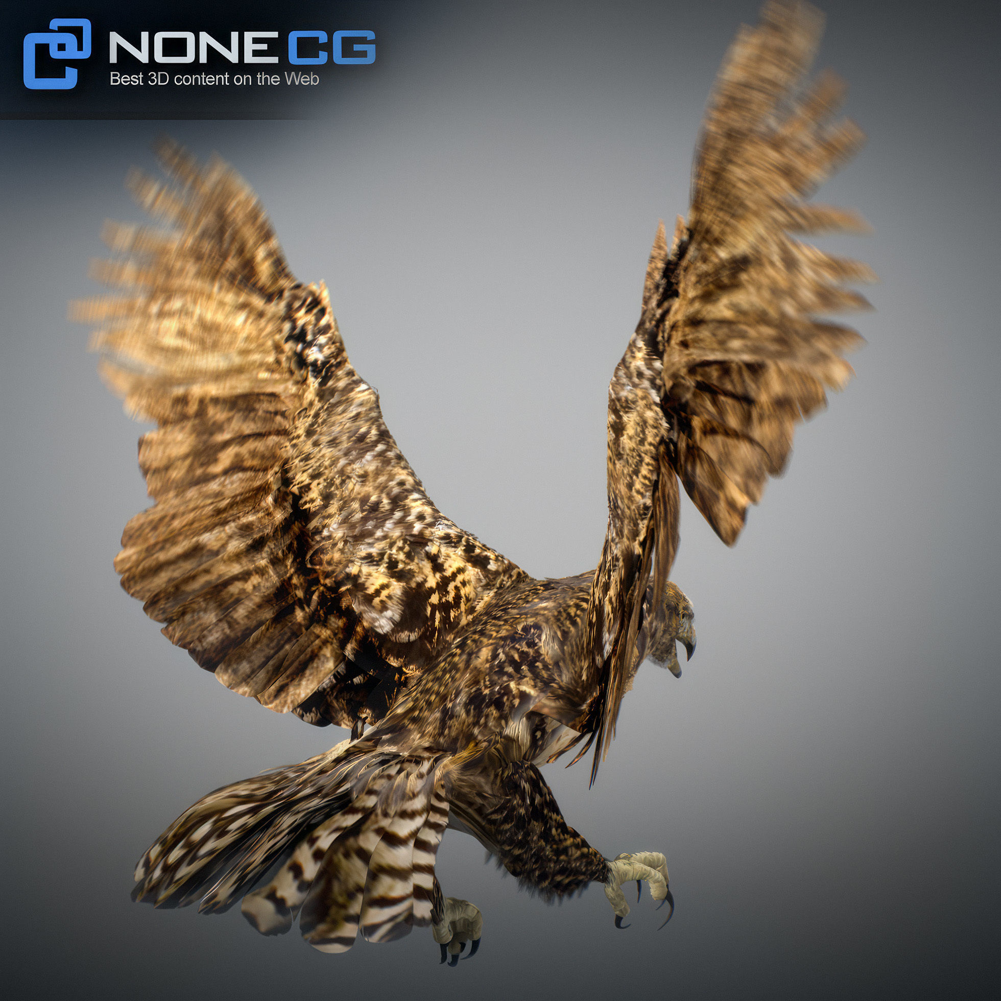 Animated Hawk 3D model_25