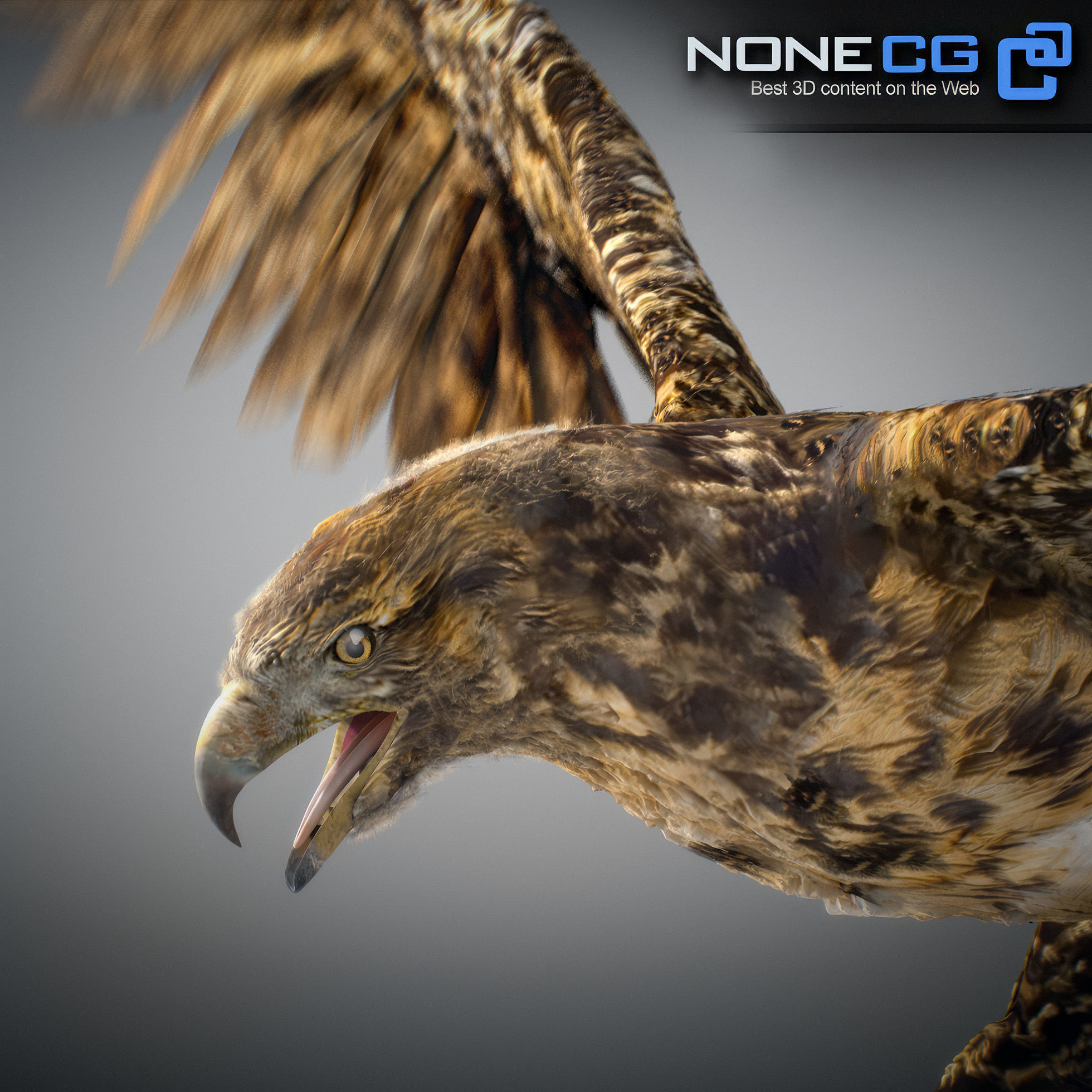 Animated Hawk 3D model_2