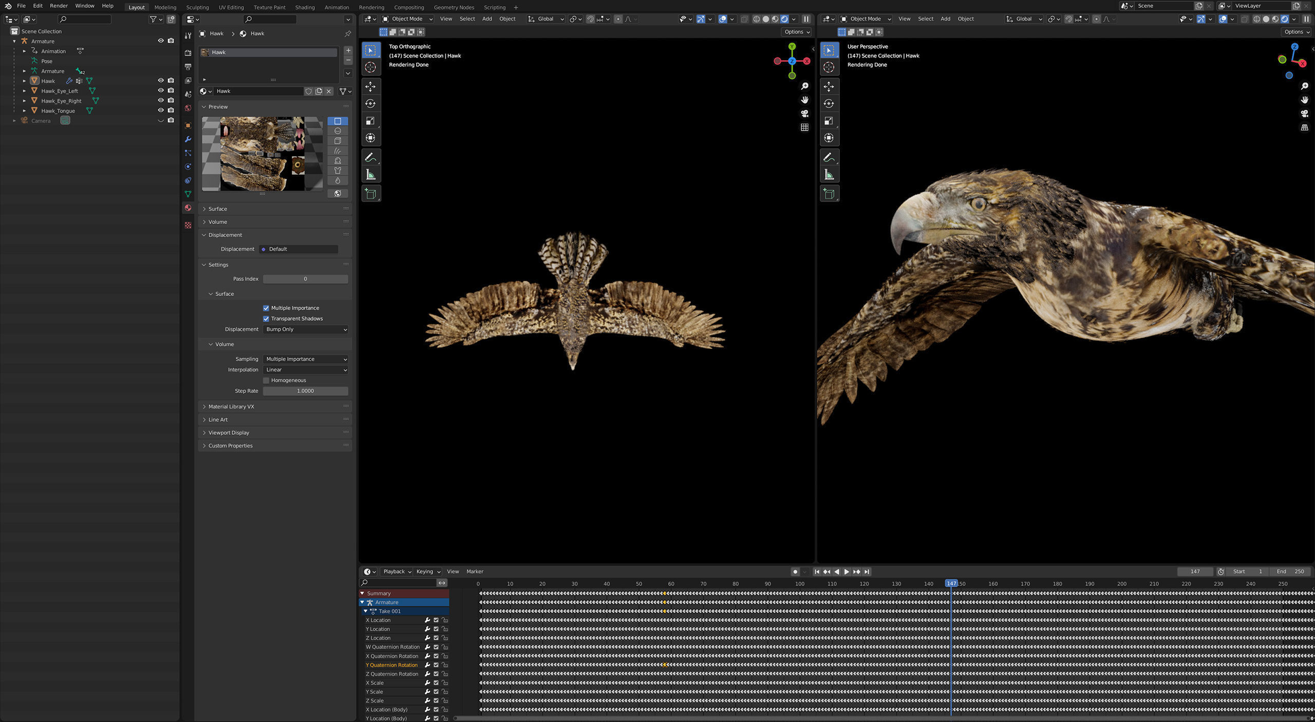 Animated Hawk 3D model_10