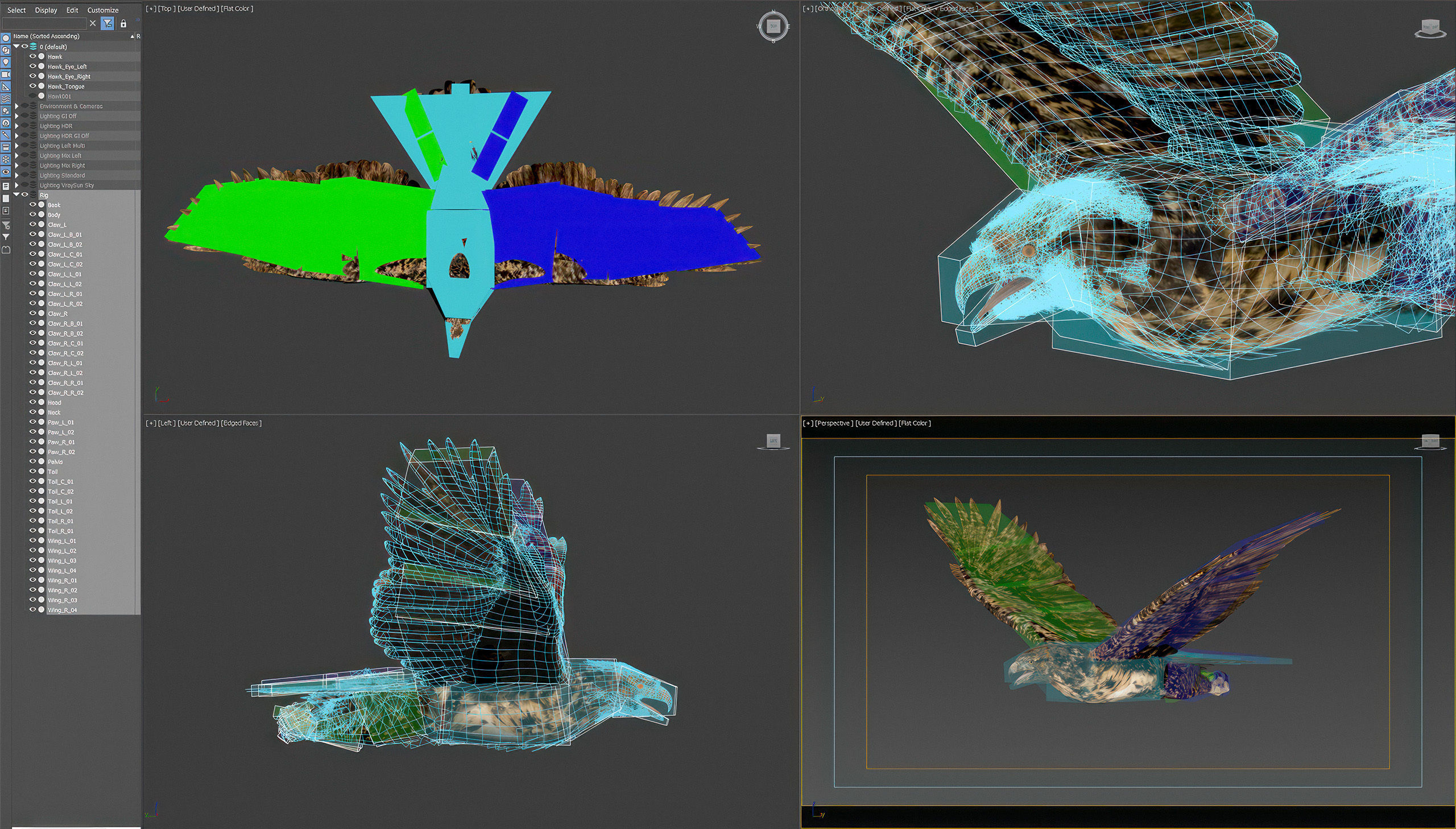 Animated Hawk 3D model_7