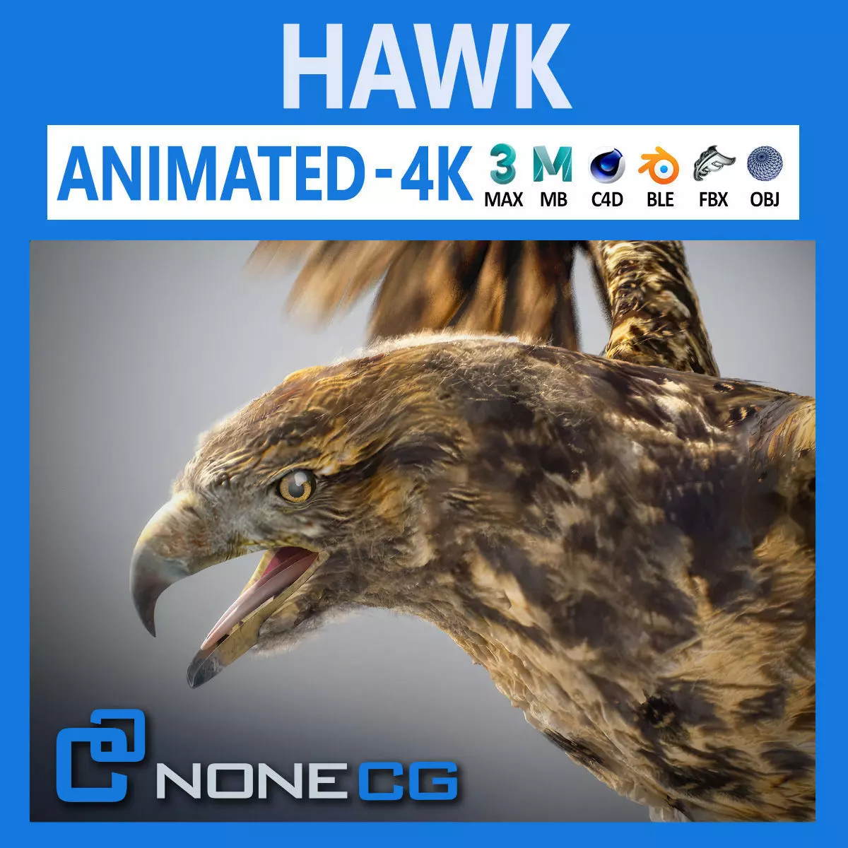 Animated Hawk 3D model_0