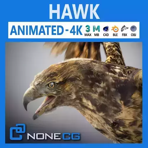 Animated Hawk 3D model