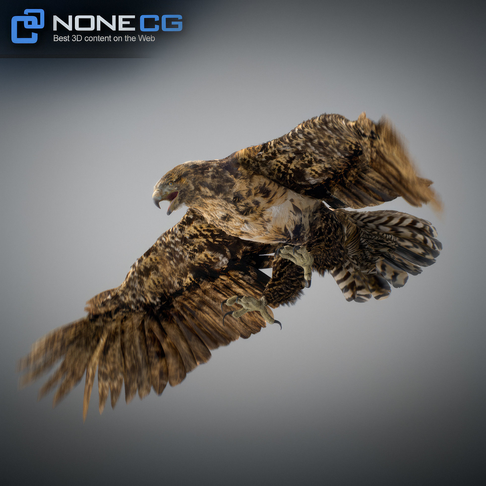Animated Hawk 3D model_4