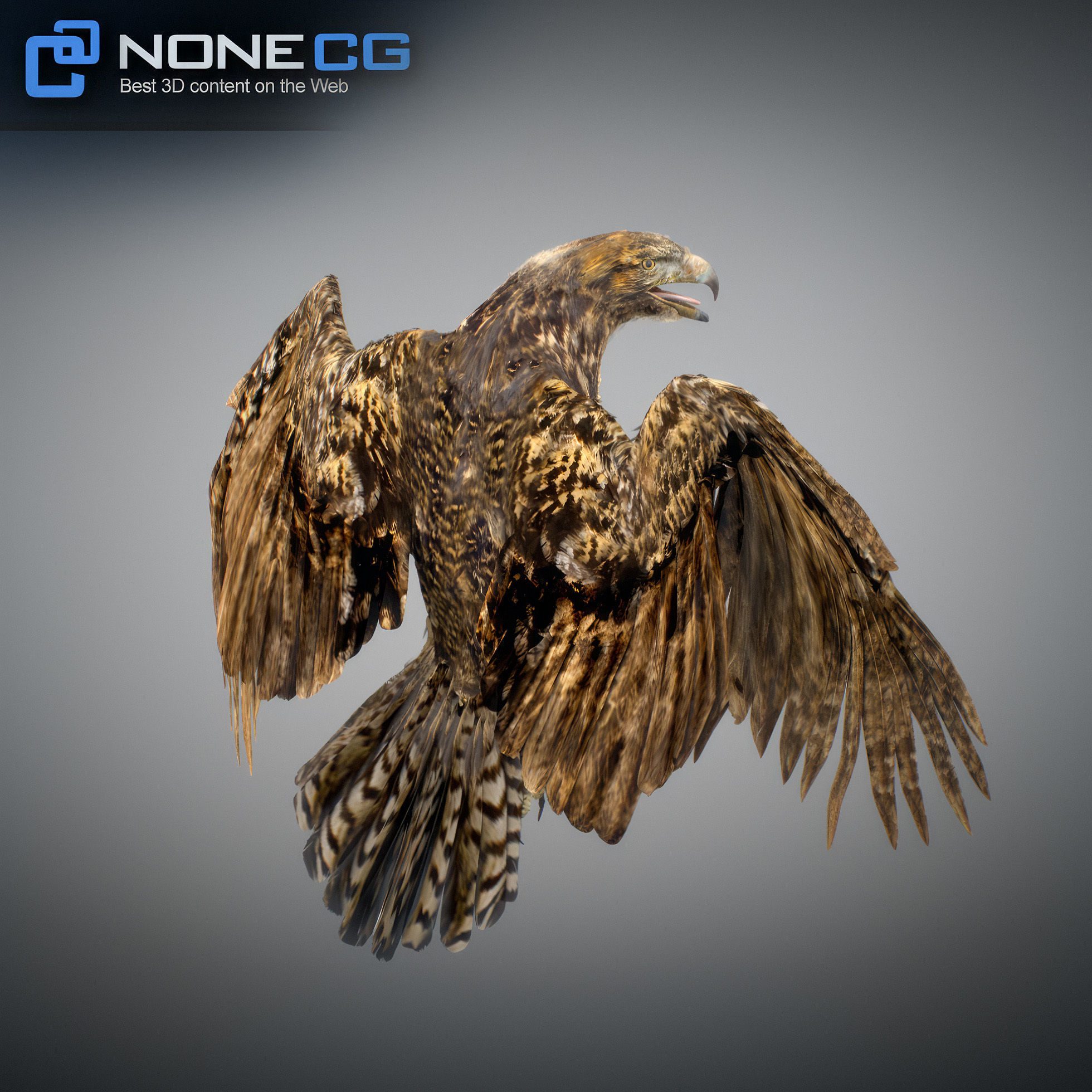 Animated Hawk 3D model_20