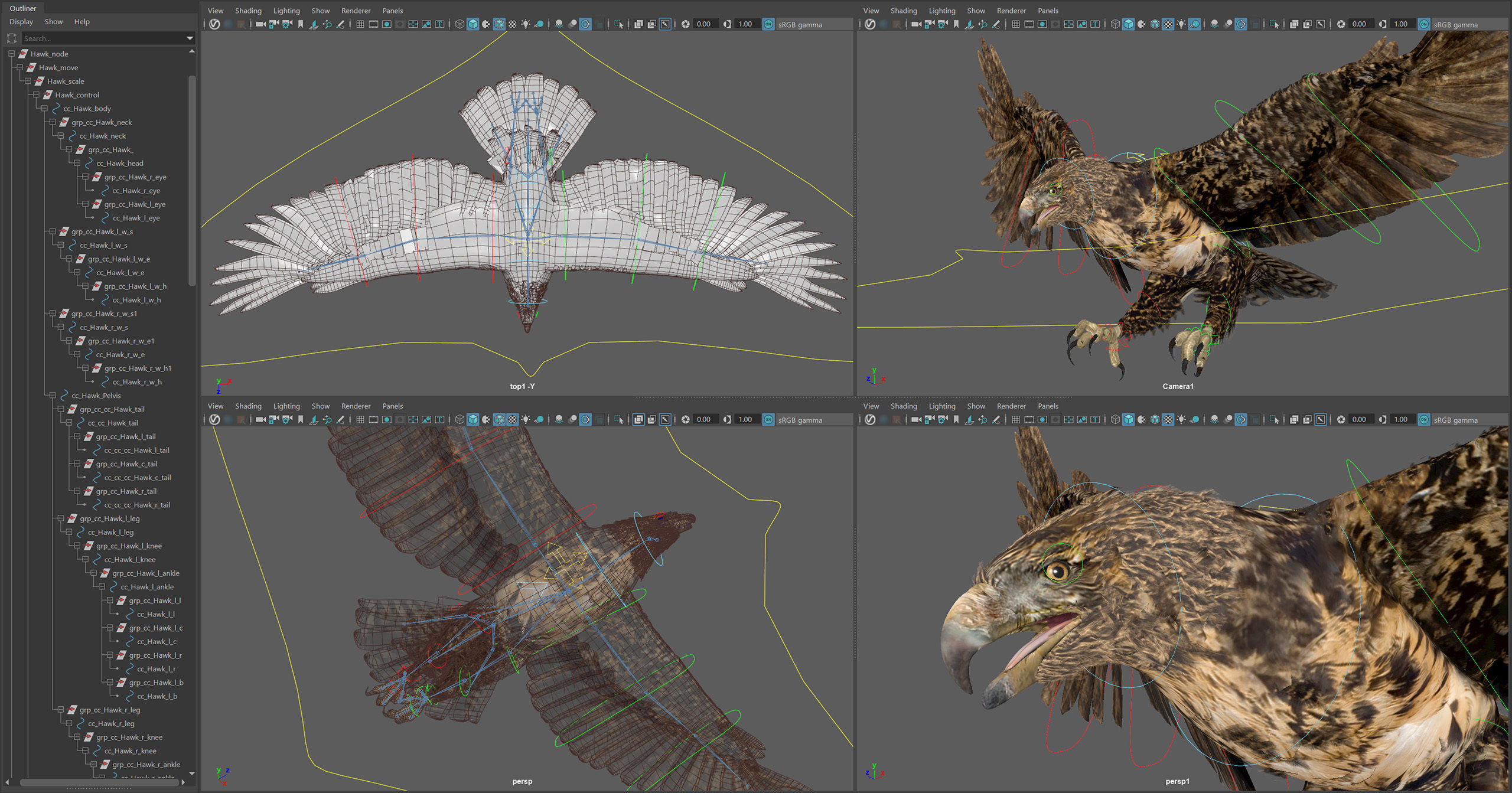 Animated Hawk 3D model_8
