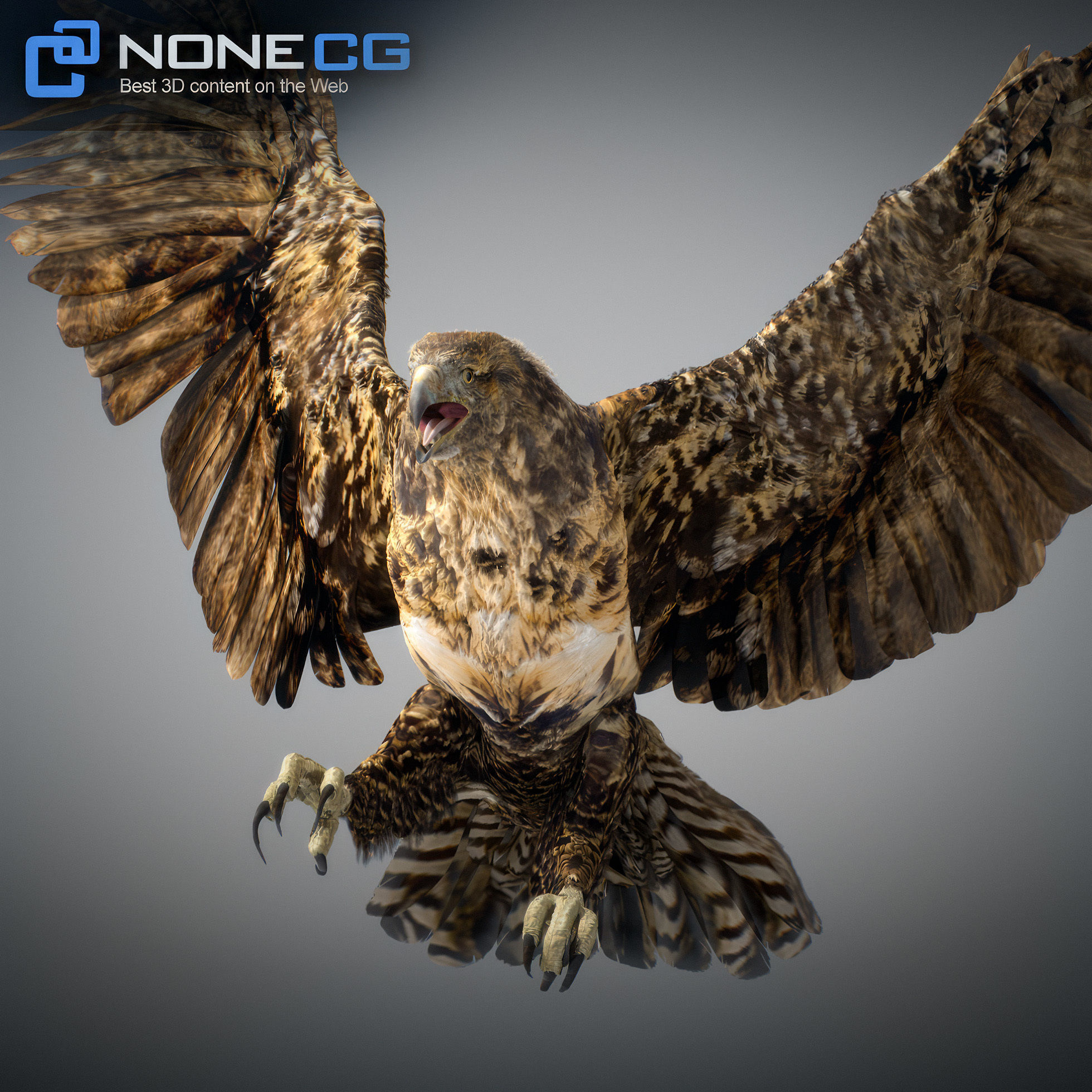 Animated Hawk 3D model_24