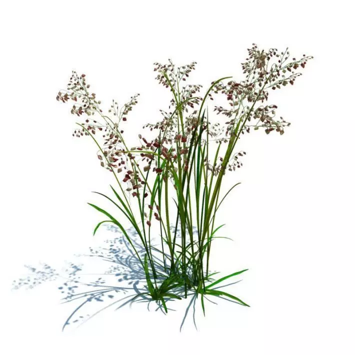 Green Grass With Flowers 3D model_0