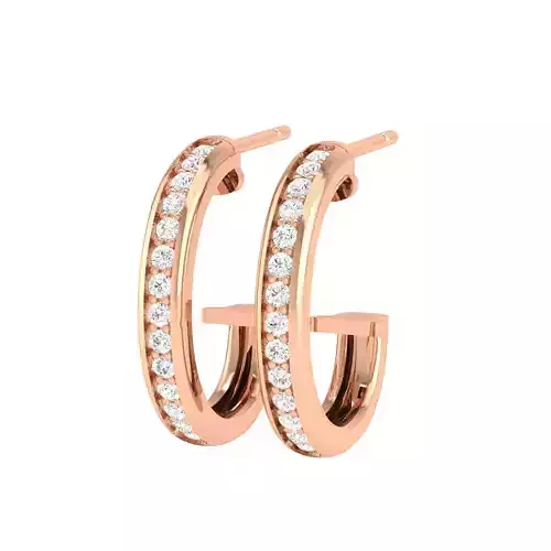 Women Earrings - 140111