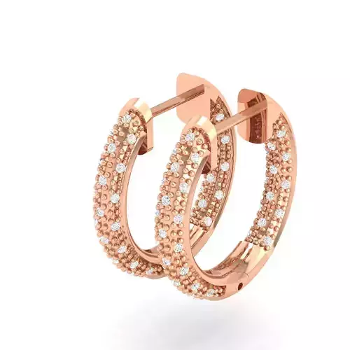 Women Earrings - 130413