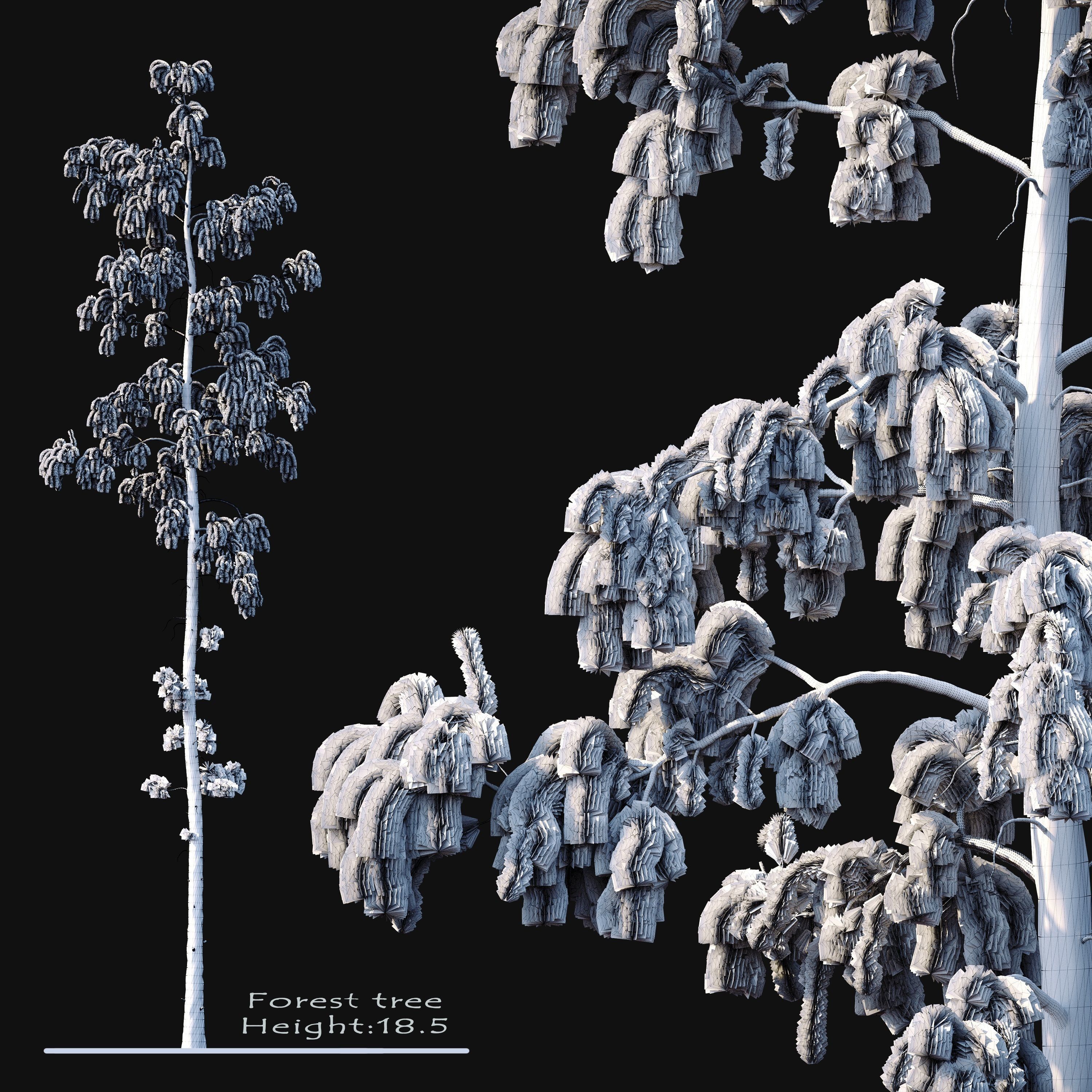 Forest tree 3D model_3