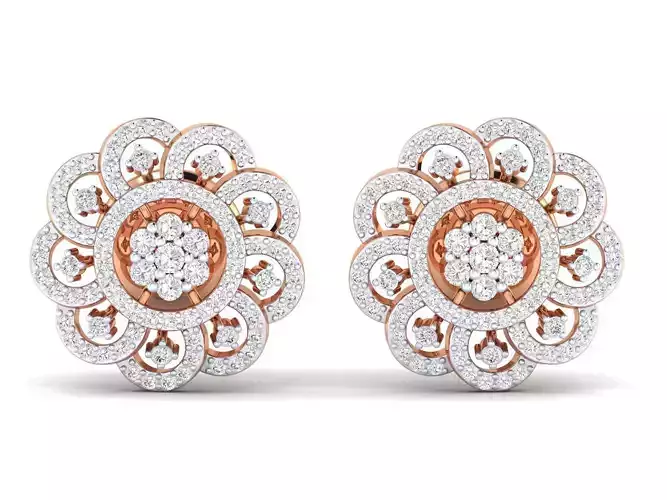 Women Earrings - F-13