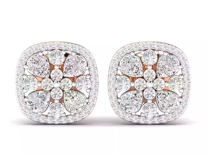 Women Earrings - AER-46