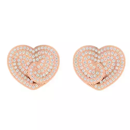 Women Earrings - 130092 3D print model