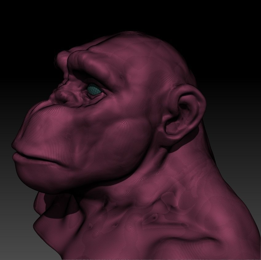 ape face for 3d printing 3D print model_4