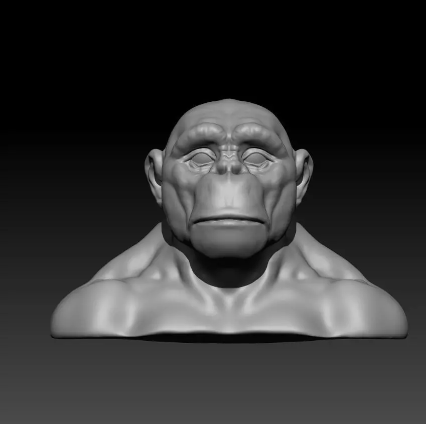 ape face for 3d printing 3D print model_0
