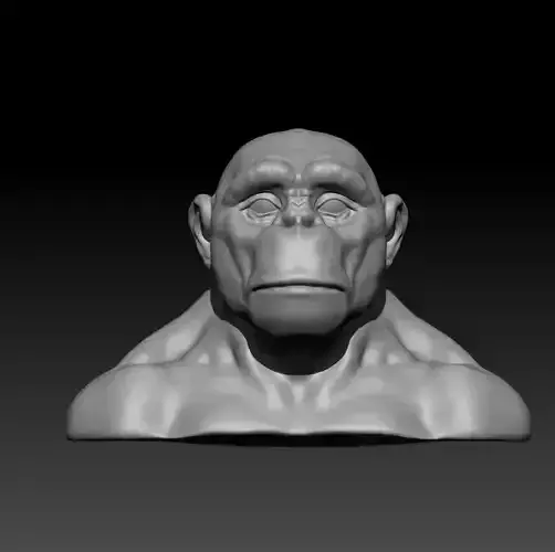 ape face for 3d printing